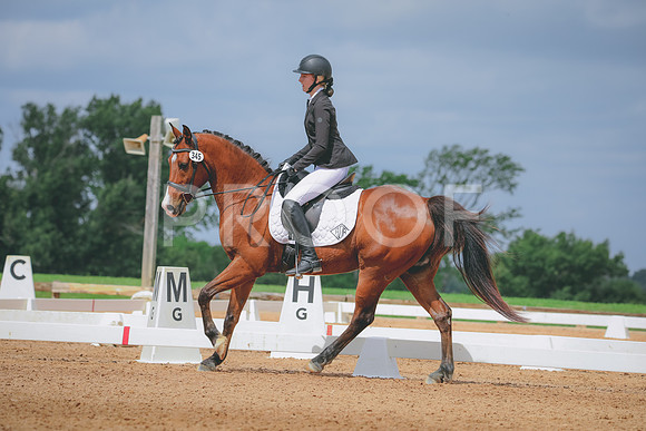 RWP_4251