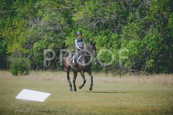 JJS_8256