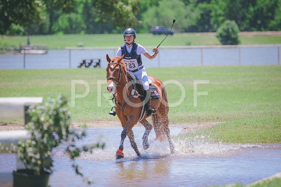 RWP_0534