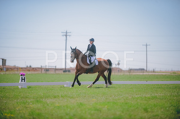 JJS_4323