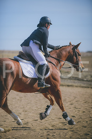 JJS_4295