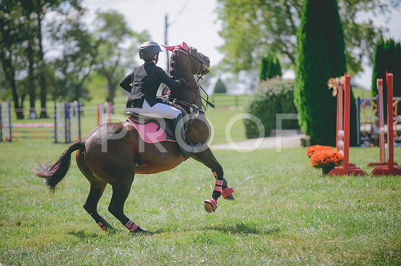 JJS_0905