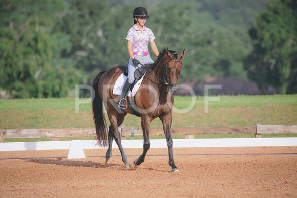 RWP_4339