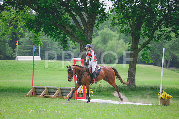 RWP_4081