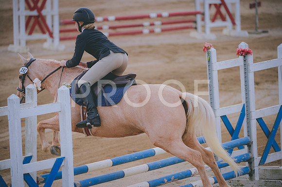 JJS_3997