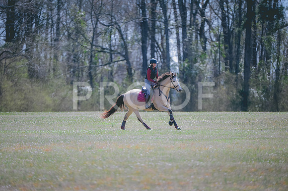 JJS_7642