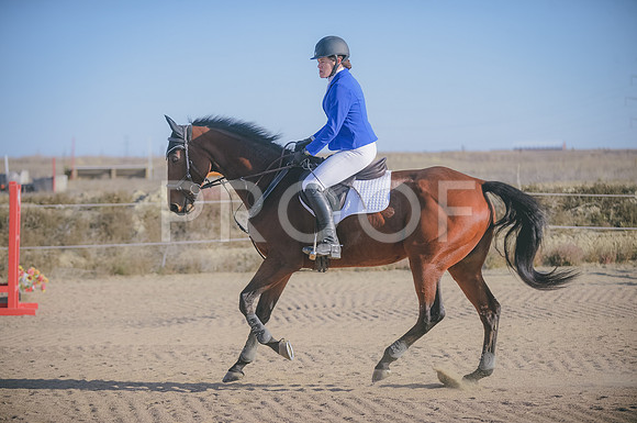 JJS_7910
