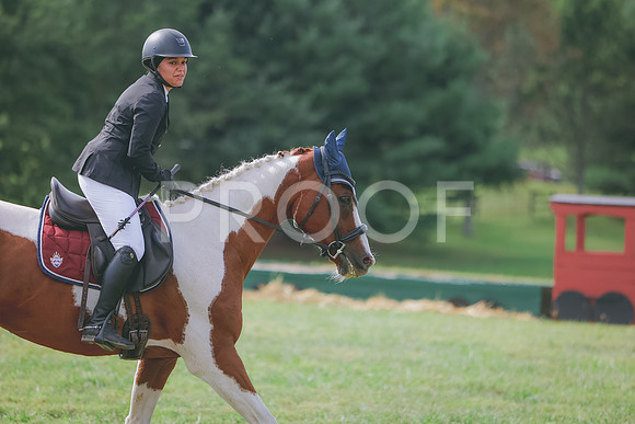 3T5A5727