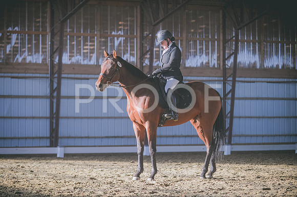 JJS_2012