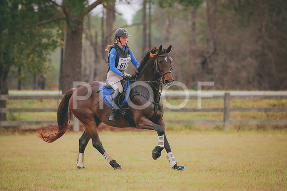 RWP_2703