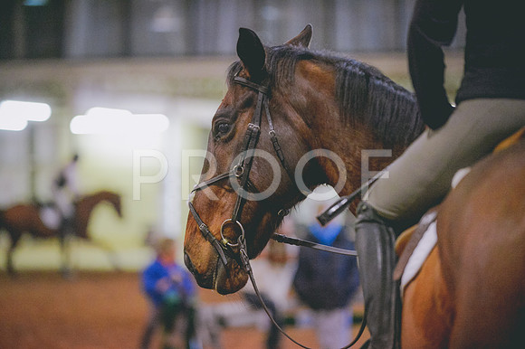 JJS_0769