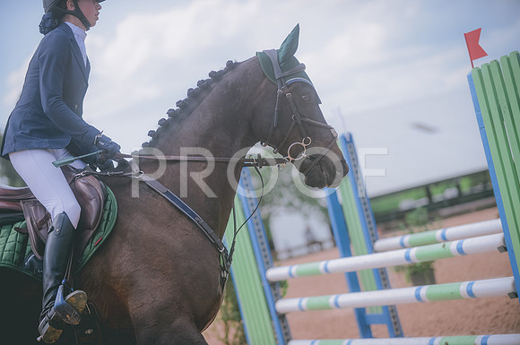 000_0439A