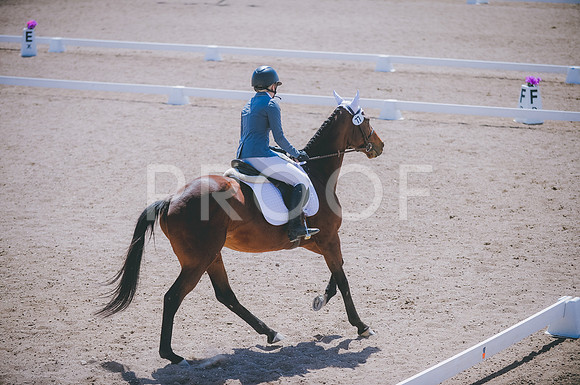 000_0628A