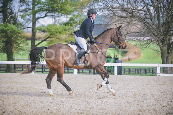 DSC_1267 copy