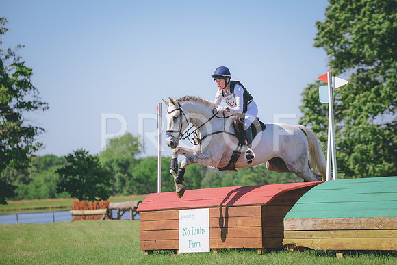 RWP_3733