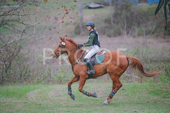 JJS_1418