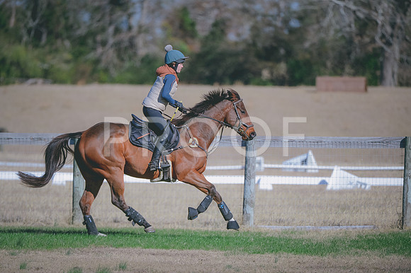 JJS_0653