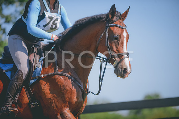 JJS_3367
