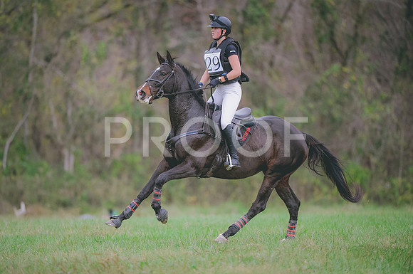 JJS_0551