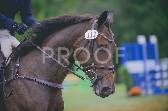 JJS_1082