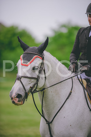 JJS_4422