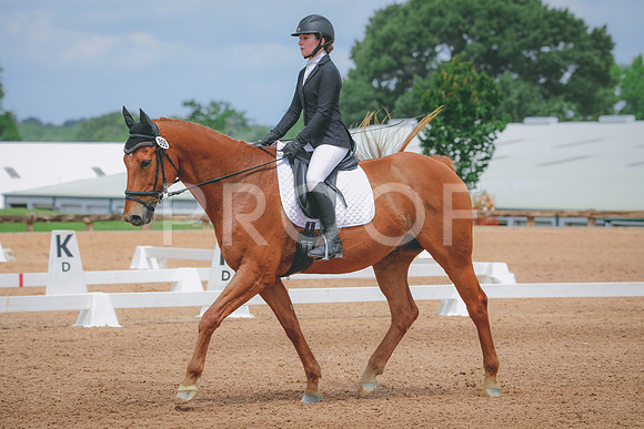RWP_4560