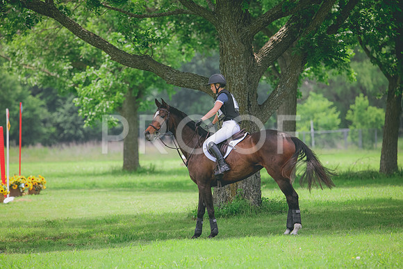 RWP_2662