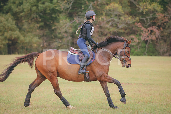 RWP_3307