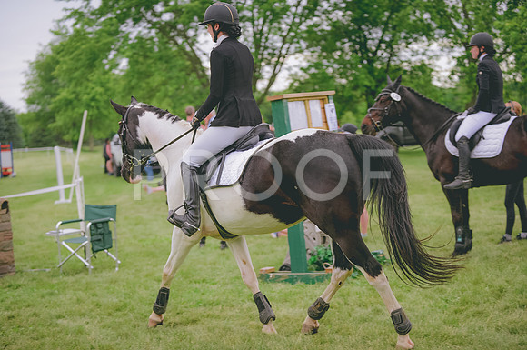 JJS_3262