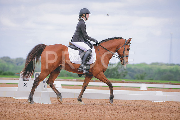 RWP_4238