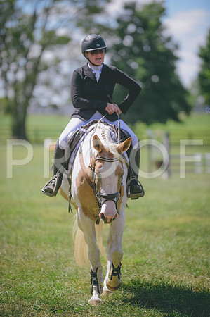 JJS_0994