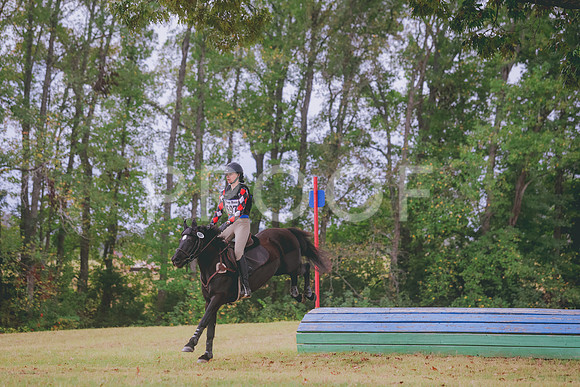 0N6A9362