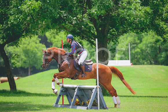 RWP_2954