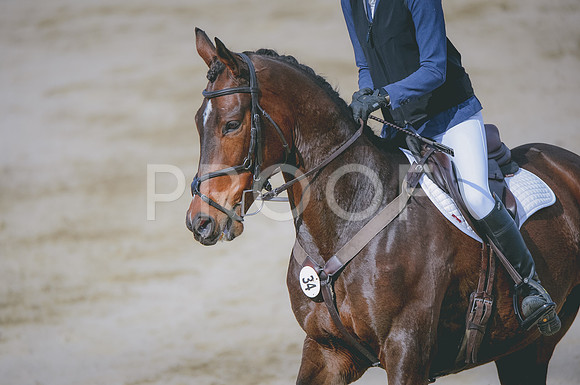 JJS_1376