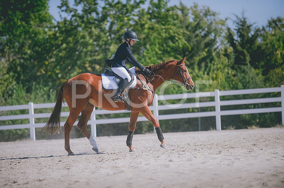 JJS_3019