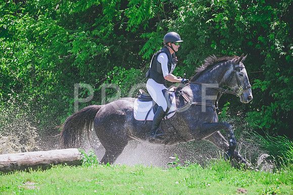 CRR_1733