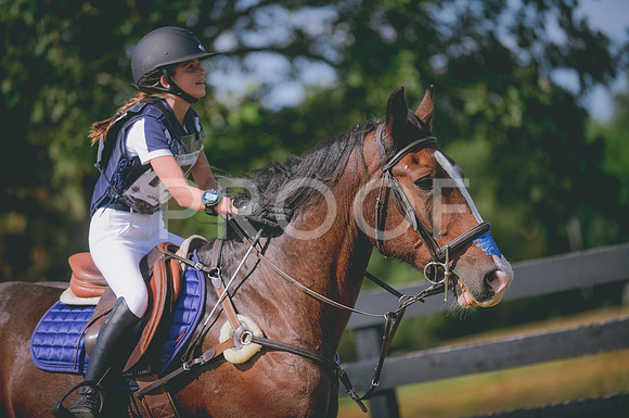 JJS_2012