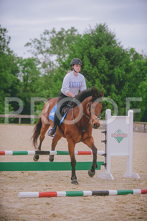 000_8231