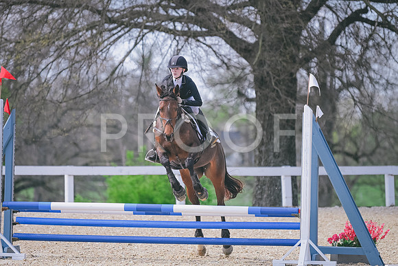 CRB_4038