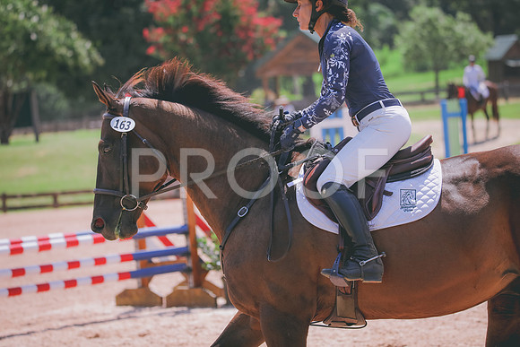 RWP_5391