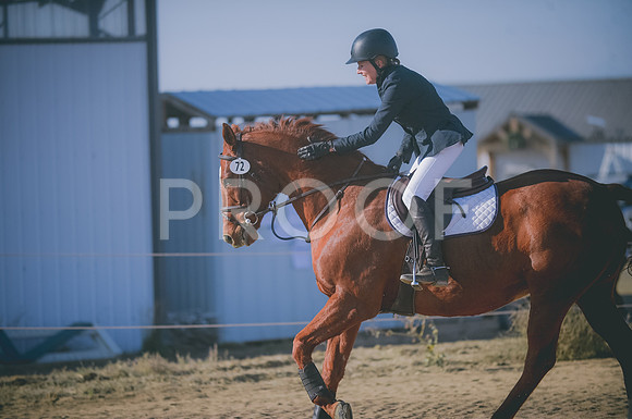 JJS_0006
