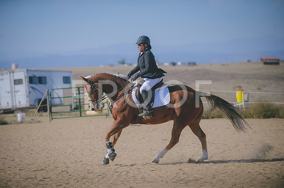 JJS_4196
