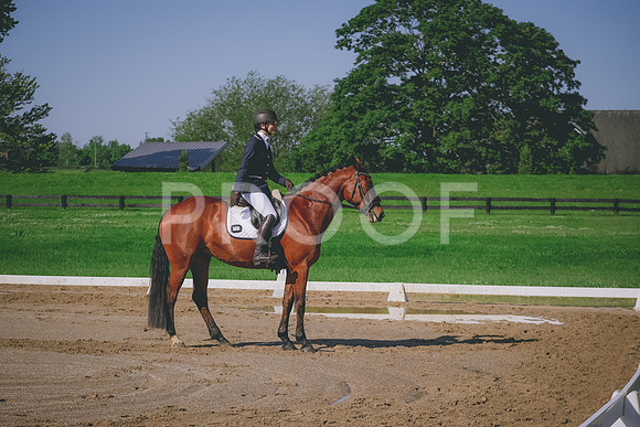 2E8A5520