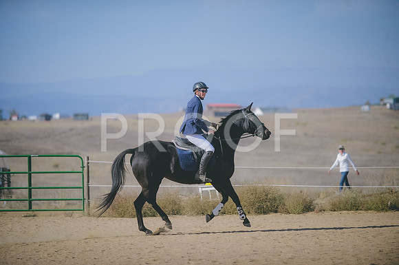 JJS_2928
