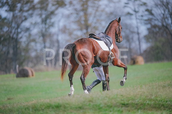 JJS_0950
