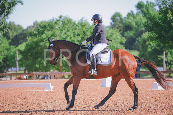 RWP_9453