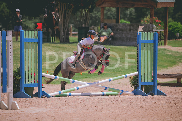 RWP_5839