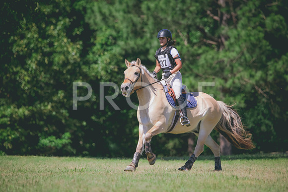 RWP_1181