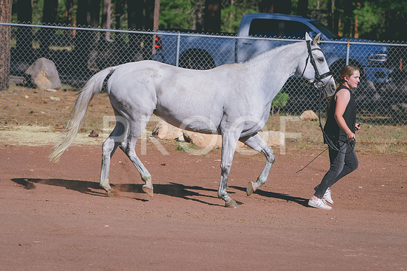 DSC_2426