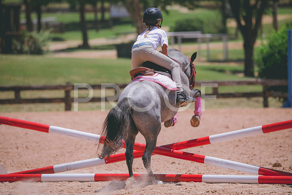 RWP_5841